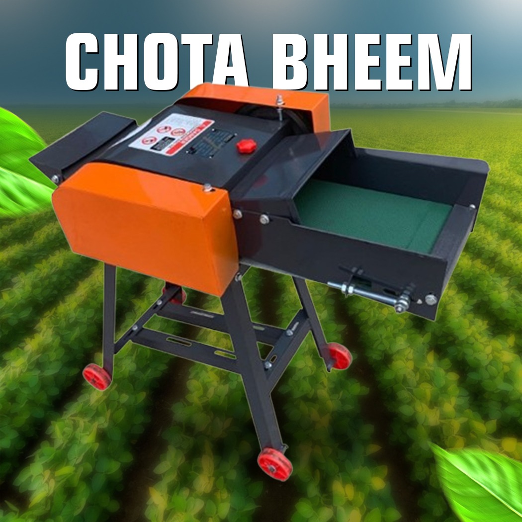 Doctor Model Chota Bheem