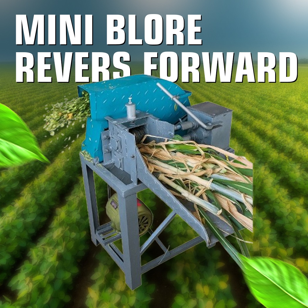Mini Blore Reverse Forward