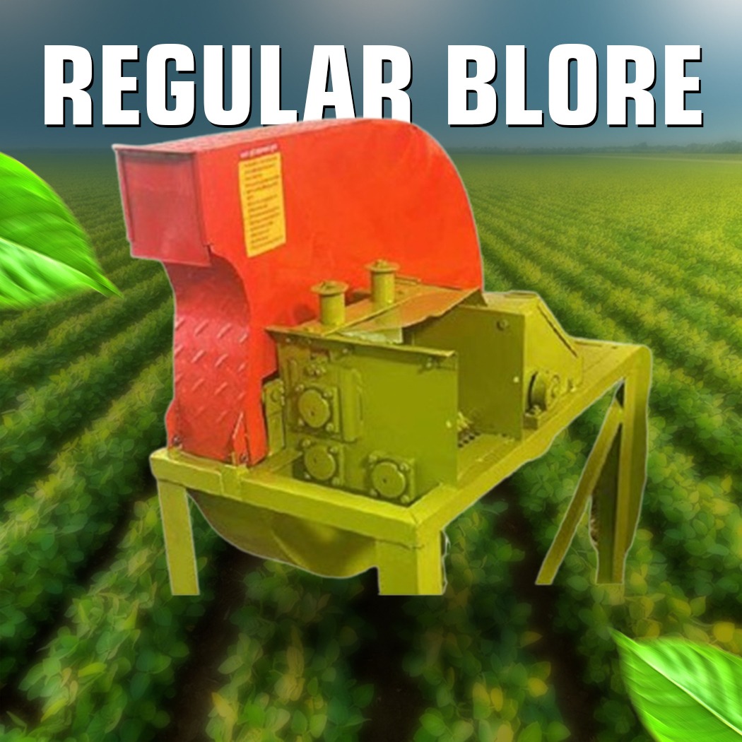 Doctor Model Regular Blore